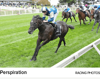 Perspiration racing photo