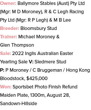 Owner: Ballymore Stables (Aust) Pty Ltd (Mgr: M D Moroney), R & C Legh Racing Pty Ltd (Mgr: R P Legh) & M B Lee Breed...