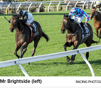 Mr Brightside (left) racing photo