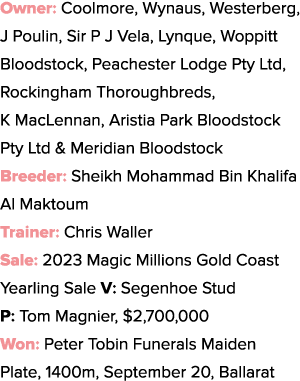 Owner: Coolmore, Wynaus, Westerberg, J Poulin, Sir P J Vela, Lynque, Woppitt Bloodstock, Peachester Lodge Pty Ltd, Ro...