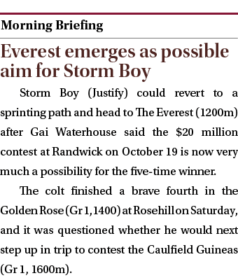  ￼ Everest emerges as possible aim for Storm Boy Storm Boy (Justify) could revert to a sprinting path and head to The...