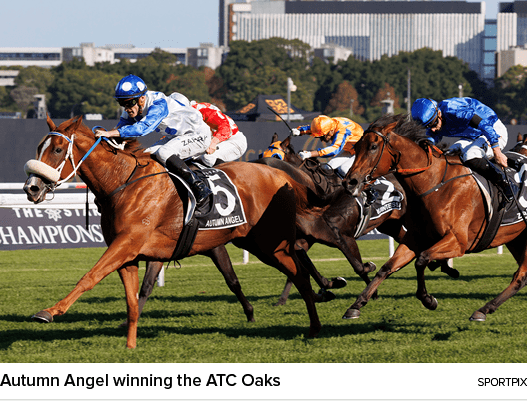 Autumn Angel winning the ATC Oaks sportpi