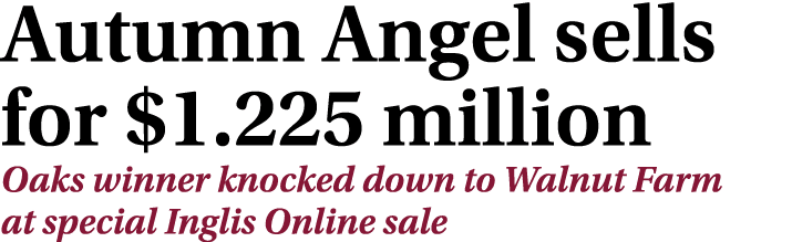 Autumn Angel sells for $1.225 million Oaks winner knocked down to Walnut Farm at special Inglis Online sale