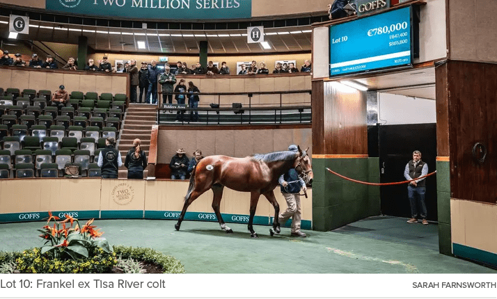 Lot 10: Frankel ex Tisa River colt SARAH FARNSWORT