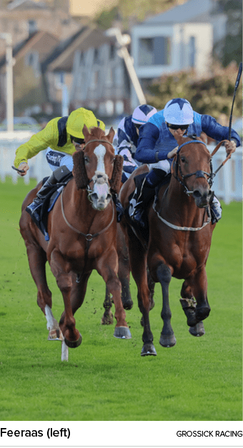 Feeraas (left) Grossick Racin