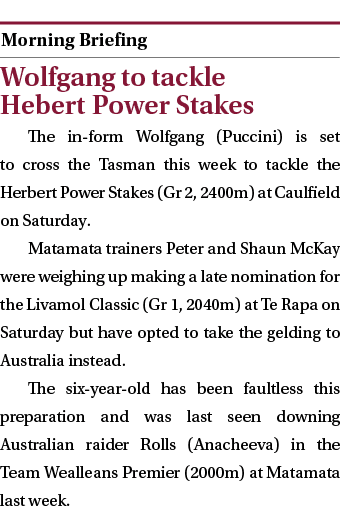  ￼ Wolfgang to tackle Hebert Power Stakes The in form Wolfgang (Puccini) is set to cross the Tasman this week to tack...