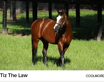 Tiz The Law coolmor