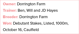 Owner: Dorrington Farm Trainer: Ben, Will and JD Hayes Breeder: Dorrington Farm Won: Debutant Stakes, Listed, 1000m, ...