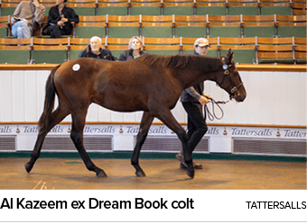 Al Kazeem ex Dream Book colt Tattersall