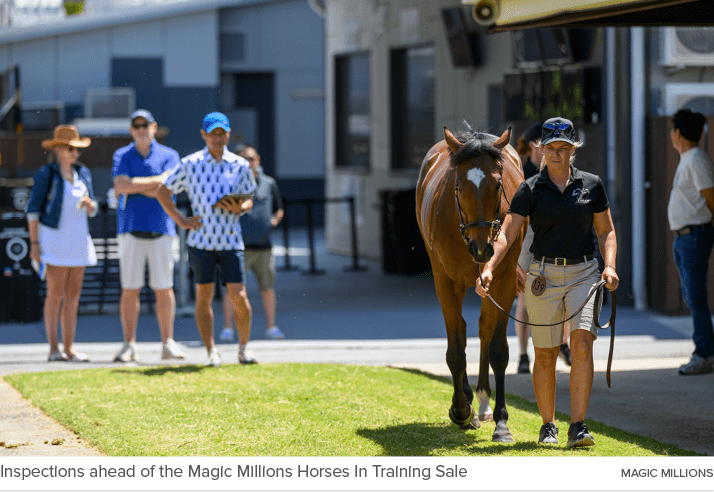 Inspections ahead of the Magic Millions Horses In Training Sale Magic Million