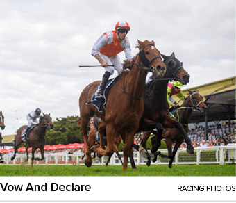 Vow And Declare racing photo