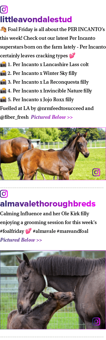 ￼ littleavondalestud 🐴 Foal Friday is all about the PER INCANTO’s this week! Check out our latest Per Incanto supers...