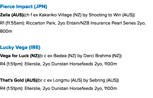 Fierce Impact (JPN) Zelia (AUS)(ch f ex Kakariko Village (NZ) by Shooting to Win (AUS)) R1 (11:55am): Riccarton Park,...