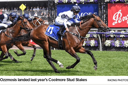 Ozzmosis landed last year’s Coolmore Stud Stakes Racing Photo