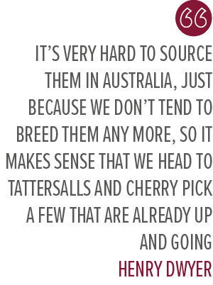 It’s very hard to source them in Australia, just because we don’t tend to breed them any more, so it makes sense that...