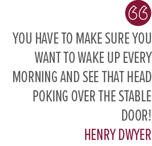 You have to make sure you want to wake up every morning and see that head poking over the stable door! Henry Dwye