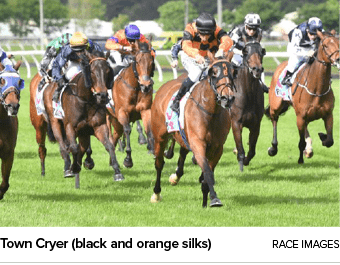 Town Cryer (black and orange silks) Race Image