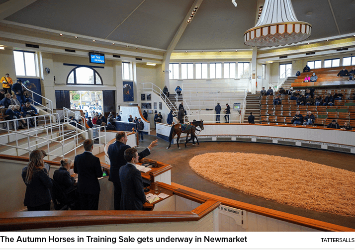 The Autumn Horses in Training Sale gets underway in Newmarket Tattersall