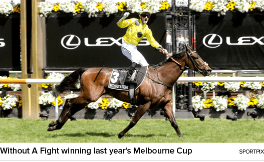 Without A Fight winning last year's Melbourne Cup sportpi