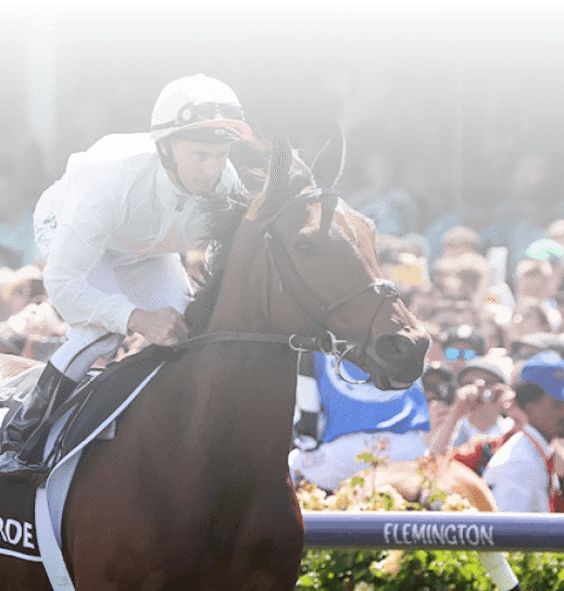 Absurde (FR) ridden by Zac Purton (HK) on the way to the barriers prior to the running of the Lexus Melbourne Cup at Flemington Racecourse on November 07, 2023 in Flemington, Australia. (Photo by George Sal/Racing Photos)