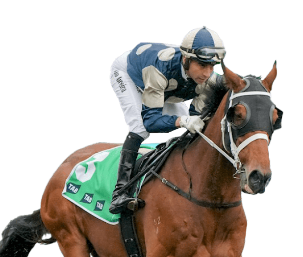 Buckaroo (GB) on the way to the barriers prior to the running of the TAB Turnbull Stakes at Flemington Racecourse on October 05, 2024 in Flemington, Australia. (Photo by George Sal/Racing Photos)