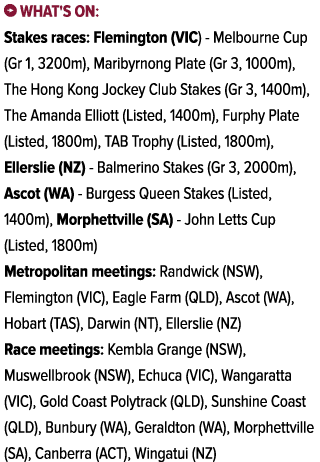 ￼ What's on: Stakes races: Flemington (VIC) Melbourne Cup (Gr 1, 3200m), Maribyrnong Plate (Gr 3, 1000m), The Hong Ko...