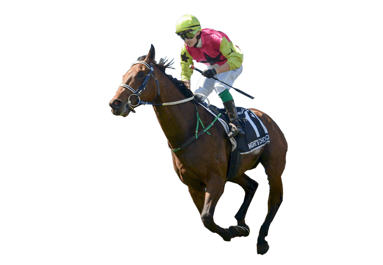 Knight's Choice ridden by Robbie Dolan wins the Lexus Melbourne Cup at Flemington Racecourse on November 05, 2024 in Flemington, Australia. (Photo by Reg Ryan/Racing Photos)