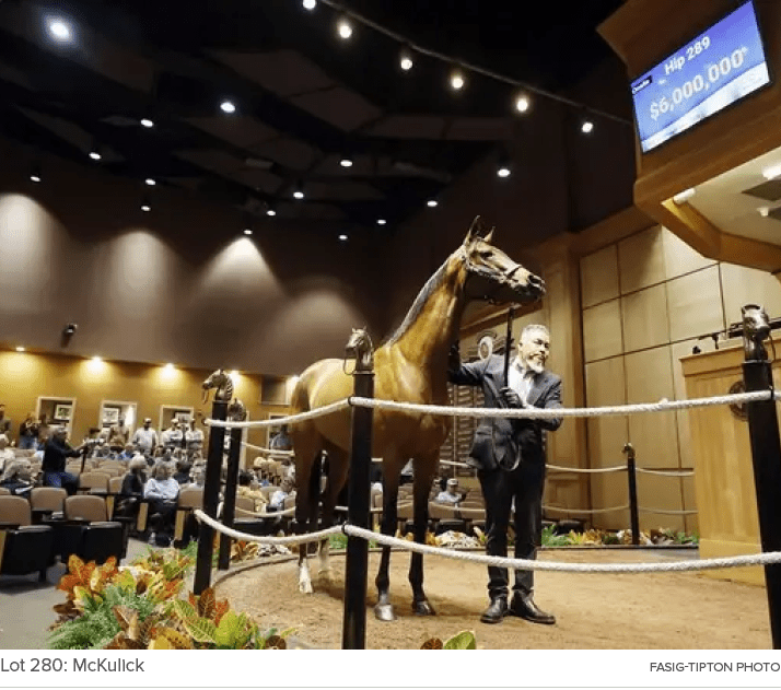 Lot 280: McKulick Fasig Tipton Phot