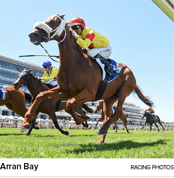 Arran Bay racing photo