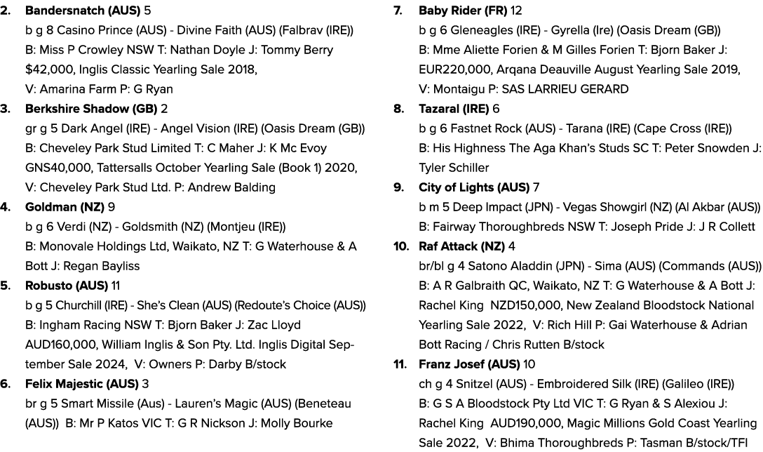 2. Bandersnatch (AUS) 5 b g 8 Casino Prince (AUS) Divine Faith (AUS) (Falbrav (IRE)) B: Miss P Crowley NSW T: Nathan ...