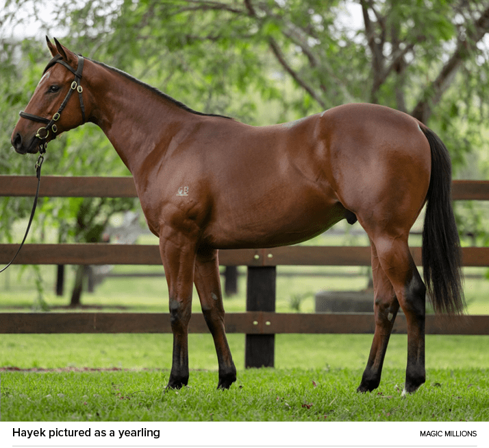 Hayek pictured as a yearling magic million