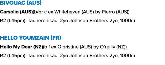 Bivouac (AUS) Carsolio (AUS)(b/br c ex Whitehaven (AUS) by Pierro (AUS)) R2 (1:45pm): Tauherenikau, 2yo Johnson Broth...