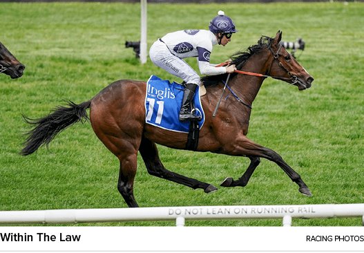 Within The Law Racing Photo