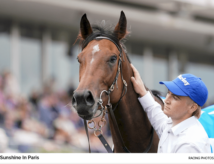 Sunshine In Paris Racing Photo