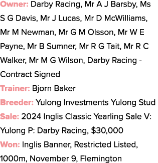 Owner: Darby Racing, Mr A J Barsby, Ms S G Davis, Mr J Lucas, Mr D McWilliams, Mr M Newman, Mr G M Olsson, Mr W E Pay...