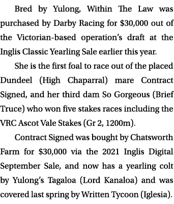 Bred by Yulong, Within The Law was purchased by Darby Racing for $30,000 out of the Victorian based operation’s draft...