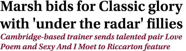 Marsh bids for Classic glory with 'under the radar' fillies Cambridge based trainer sends talented pair Love Poem and...