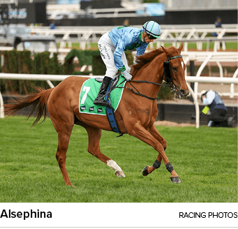 Alsephina racing photo