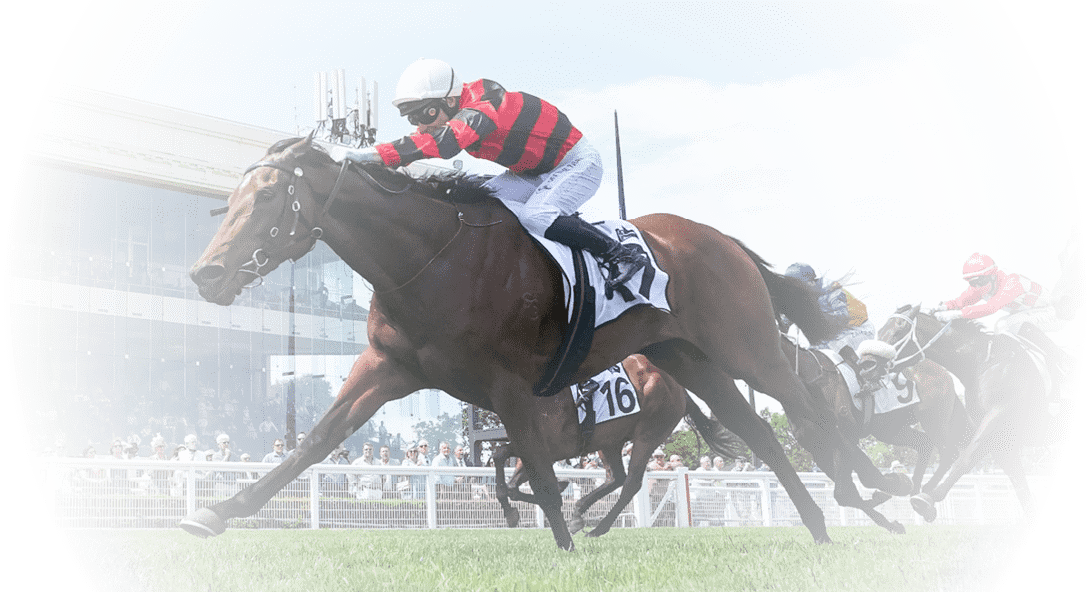 Jasmin Rouge ridden by Ben Melham wins the Thoroughbred Club of Australia Stakes at Caulfield Racecourse on November 16, 2024 in Caulfield, Australia. (Photo by Scott Barbour/Racing Photos)