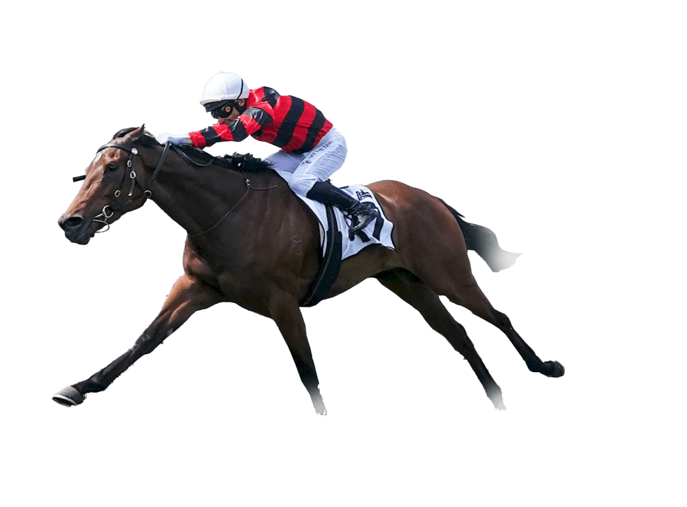 Jasmin Rouge ridden by Ben Melham wins the Thoroughbred Club of Australia Stakes at Caulfield Racecourse on November 16, 2024 in Caulfield, Australia. (Photo by Scott Barbour/Racing Photos)