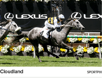 Cloudland sportpi