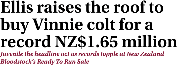 Ellis raises the roof to buy Vinnie colt for a record NZ$1.65 million Juvenile the headline act as records topple at ...