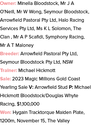 Owner: Minella Bloodstock, Mr J A O'Neill, Mr W Wong, Seymour Bloodstock, Arrowfield Pastoral Pty Ltd, Halo Racing Se...