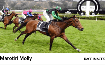 Marotiri Molly Race Image