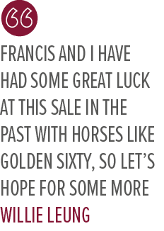 Francis and I have had some great luck at this sale in the past with horses like Golden Sixty, so let’s hope for some...