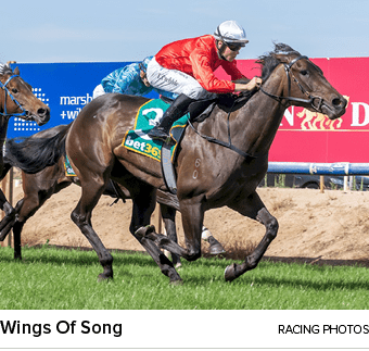 Wings Of Song racing photo