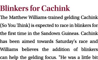 Blinkers for Cachink The Matthew Williams trained gelding Cachink (So You Think) is expected to race in blinkers for ...