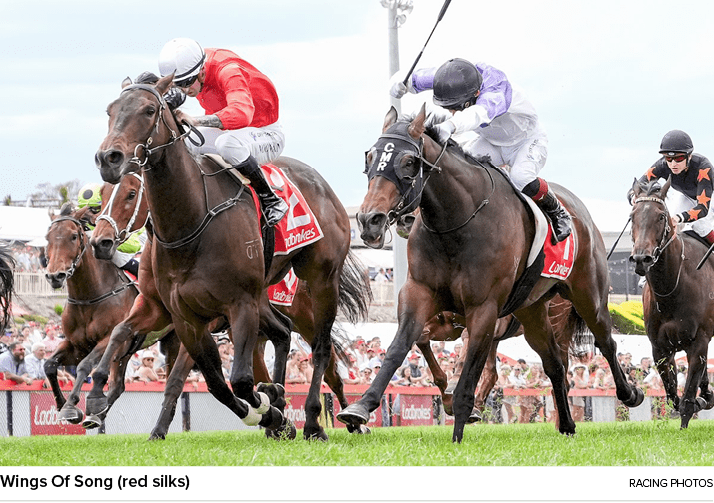 Wings Of Song (red silks) Racing Photo