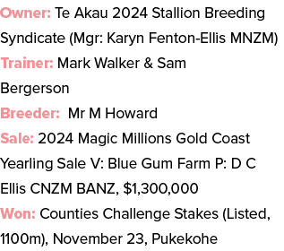 Owner: Te Akau 2024 Stallion Breeding Syndicate (Mgr: Karyn Fenton Ellis MNZM) Trainer: Mark Walker & Sam Bergerson B...