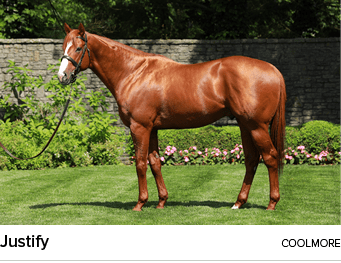 Justify coolmor